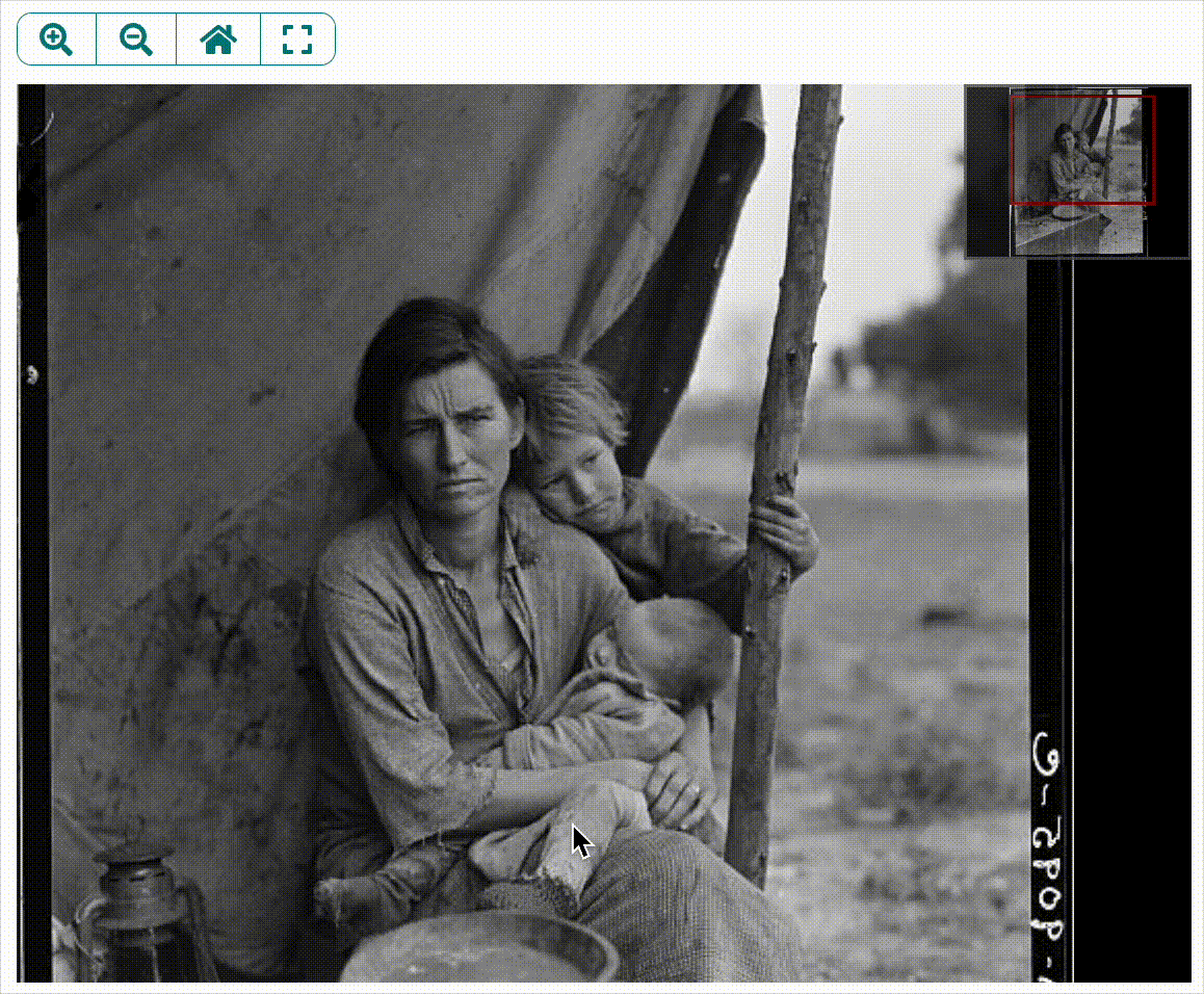 Primary Source Zoom and Drag.gif