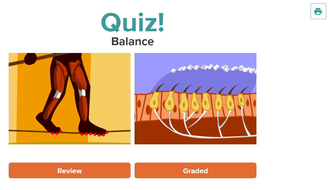 Brainpop Quizzes Help Center